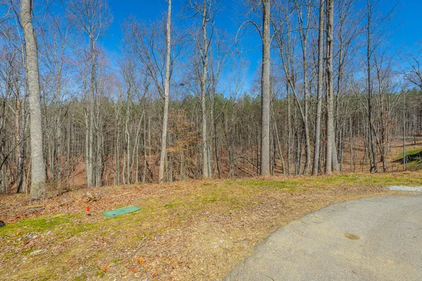 $110,000 | 0 Moonlight Lane, Unit JF437, Jasper, TN 37347