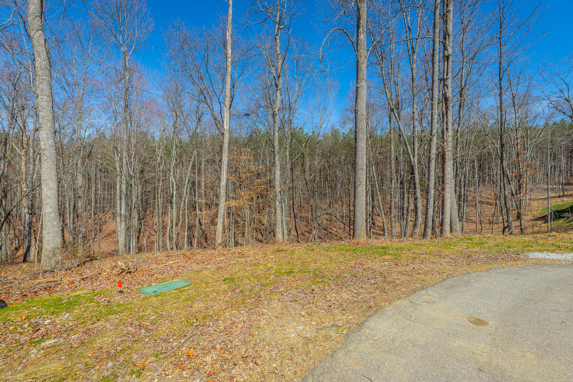 0 Moonlight Lane, Unit JF437 Jasper, TN 37347 - Photo 3 of 73 0 Moonlight Lane - JF437 HD-7