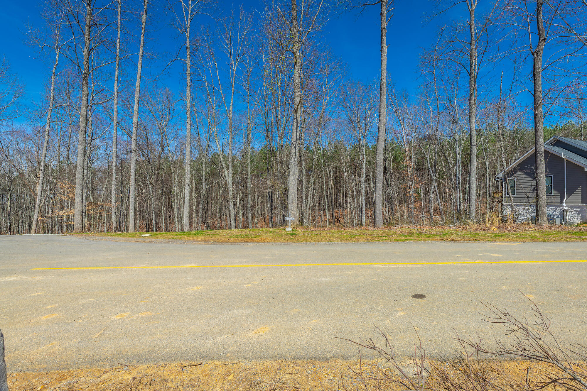 0 Moonlight Lane, Unit JF437 Jasper, TN 37347 - Photo 4 of 73 0 Moonlight Lane - JF437 HD-1