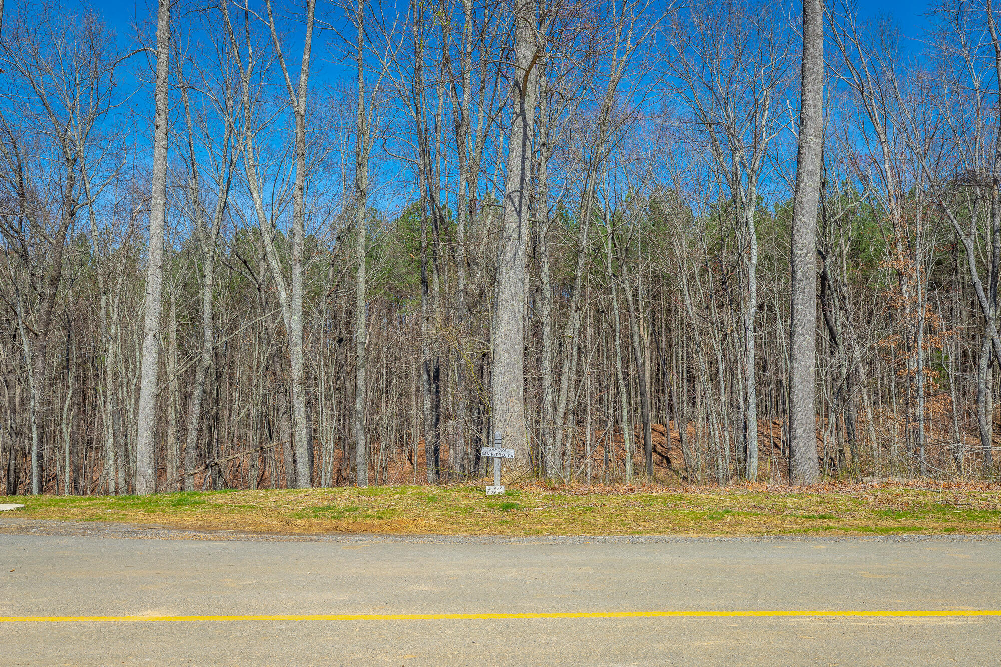 0 Moonlight Lane, Unit JF437 Jasper, TN 37347 - Photo 5 of 73 0 Moonlight Lane - JF437 HD-2