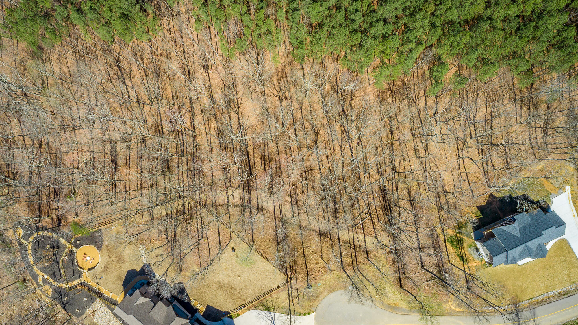 0 Moonlight Lane, Unit JF437 Jasper, TN 37347 - Photo 6 of 73 0 Moonlight Lane - JF437 HD-66