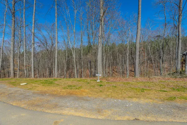 $110,000 | 0 Moonlight Lane, Unit JF437, Jasper, TN 37347