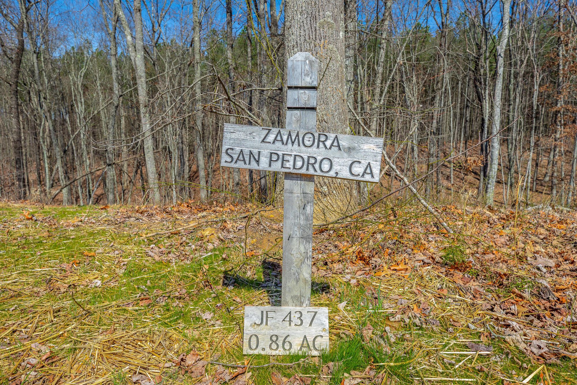 0 Moonlight Lane, Unit JF437 Jasper, TN 37347 - Photo 8 of 73 0 Moonlight Lane - JF437 HD-5