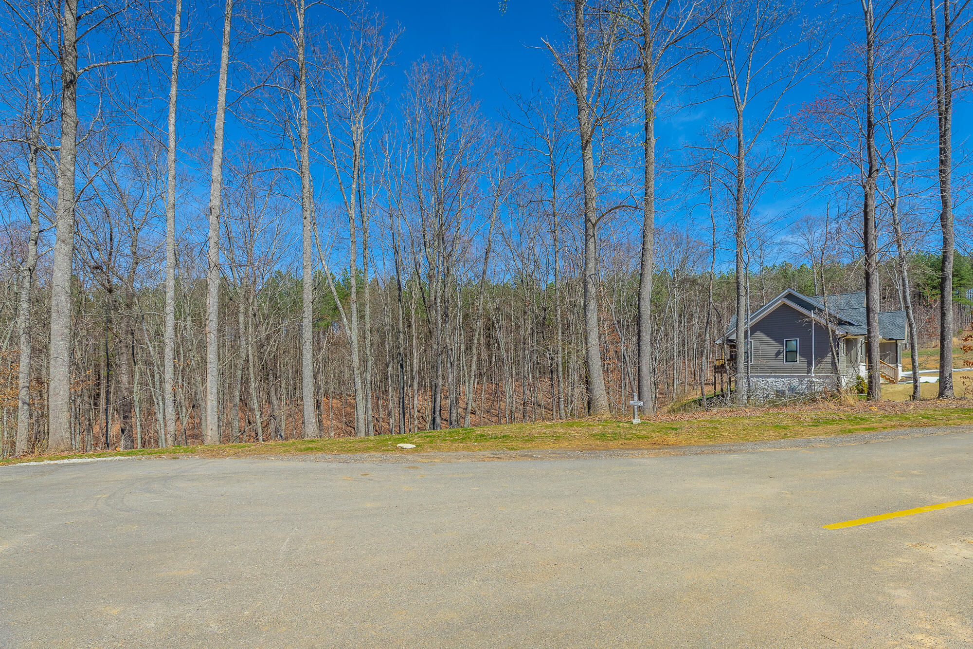 0 Moonlight Lane, Unit JF437 Jasper, TN 37347 - Photo 9 of 73 0 Moonlight Lane - JF437 HD-6