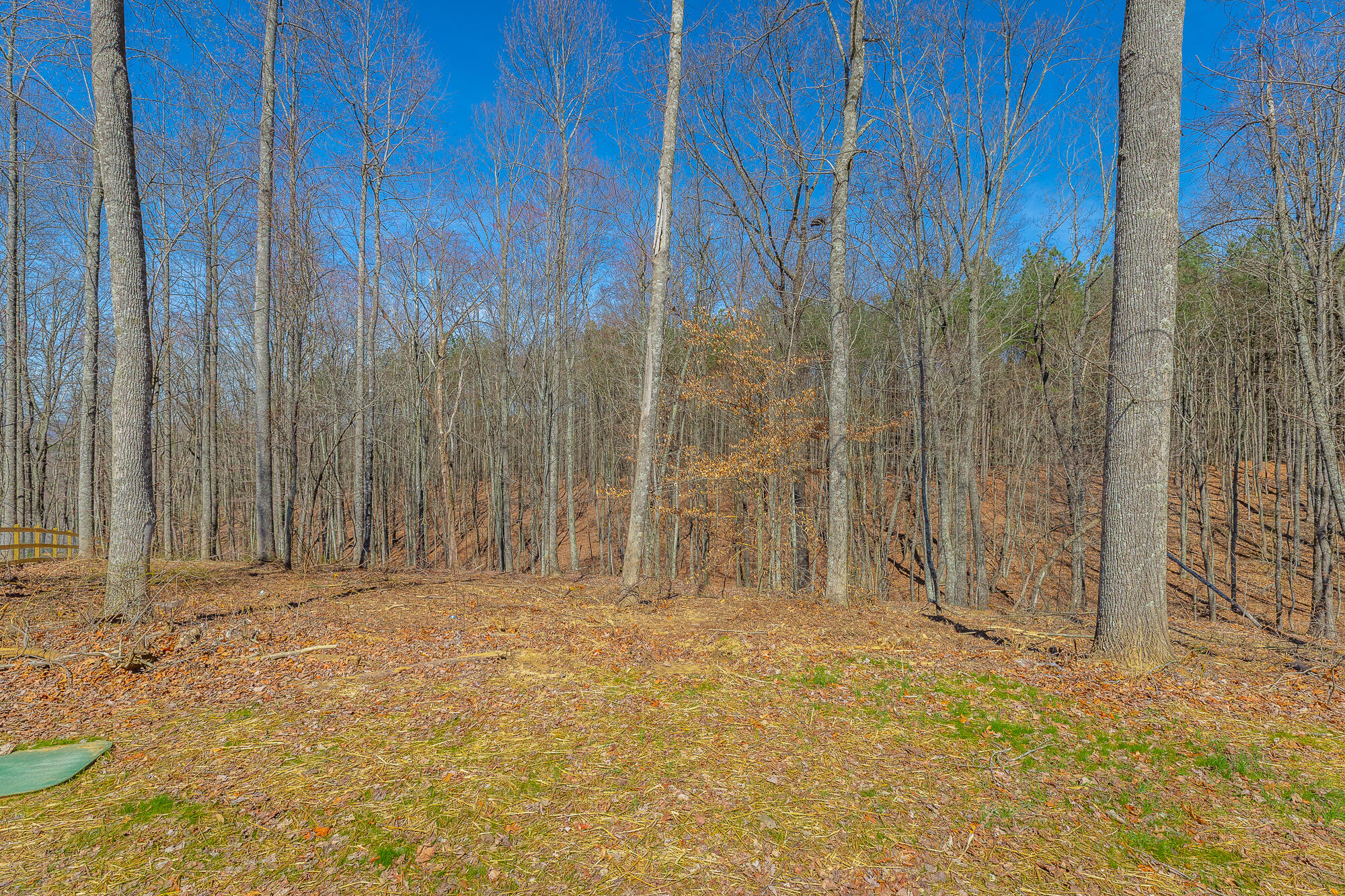 0 Moonlight Lane, Unit JF437 Jasper, TN 37347 - Photo 10 of 73 0 Moonlight Lane - JF437 HD-8