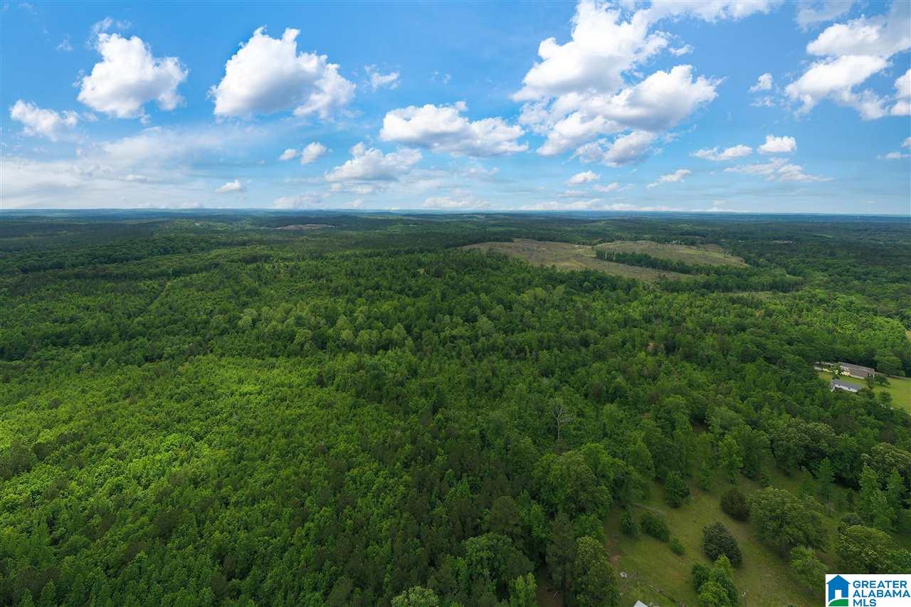 0 Montevallo Road Centreville, AL 35042 - Photo 26 of 29