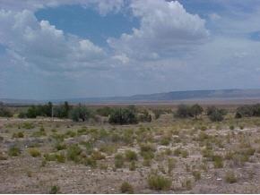 118 Canyon Road Williams, AZ 86046 - Photo 1 of 1 Primary Photo