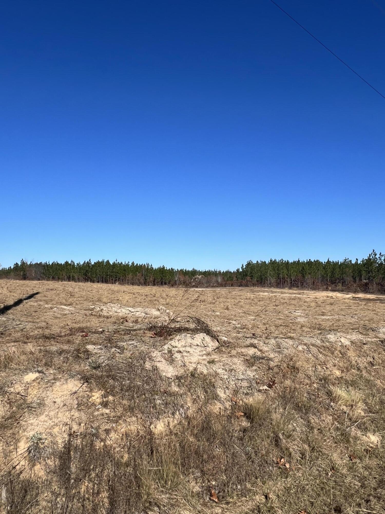 0 Old Chalk Bed Road, Unit 10 Batesburg, SC 29006 - Photo 1 of 8 Gallery Image 1