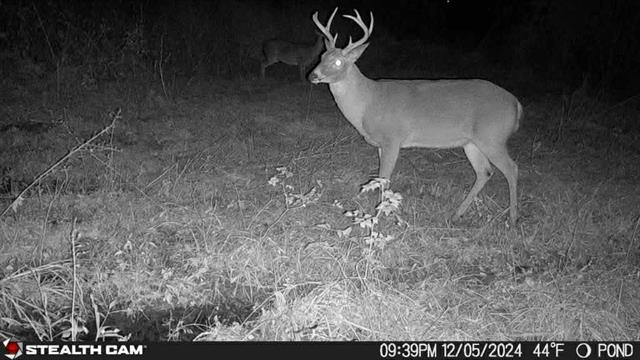 34 Aycock Road Deville, LA 71328 - Photo 8 of 13