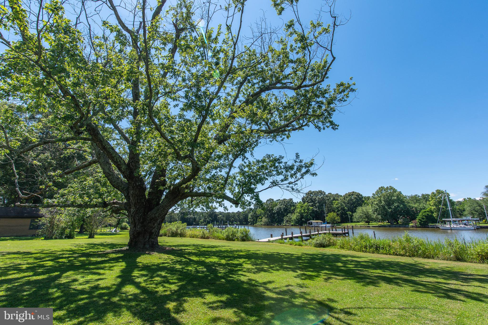9832 Mill Point Road Easton, MD 21601 - Photo 6 of 33 Gallery Image 6