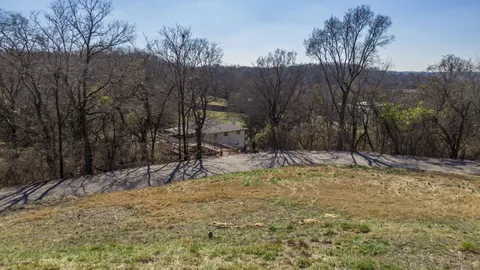 a view of a backyard with trees