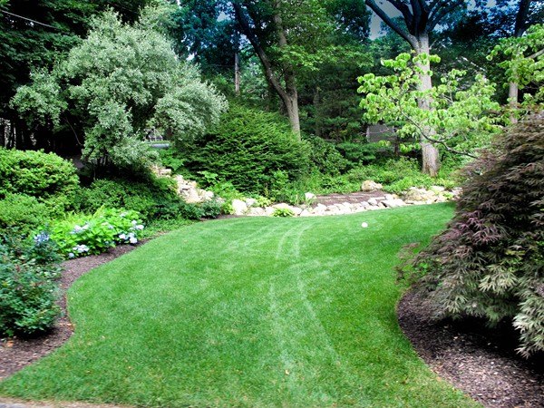 19 Lorena Road Winchester, MA 01890 - Photo 2 of 20 a view of a garden with plants and large trees