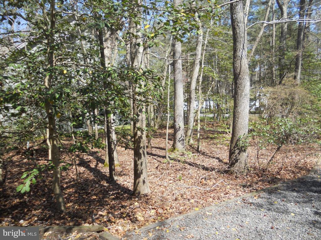 21 Rabbit Run Lane Ocean Pines, MD 21811 - Photo 21 of 22 a view of outdoor space with lots of trees