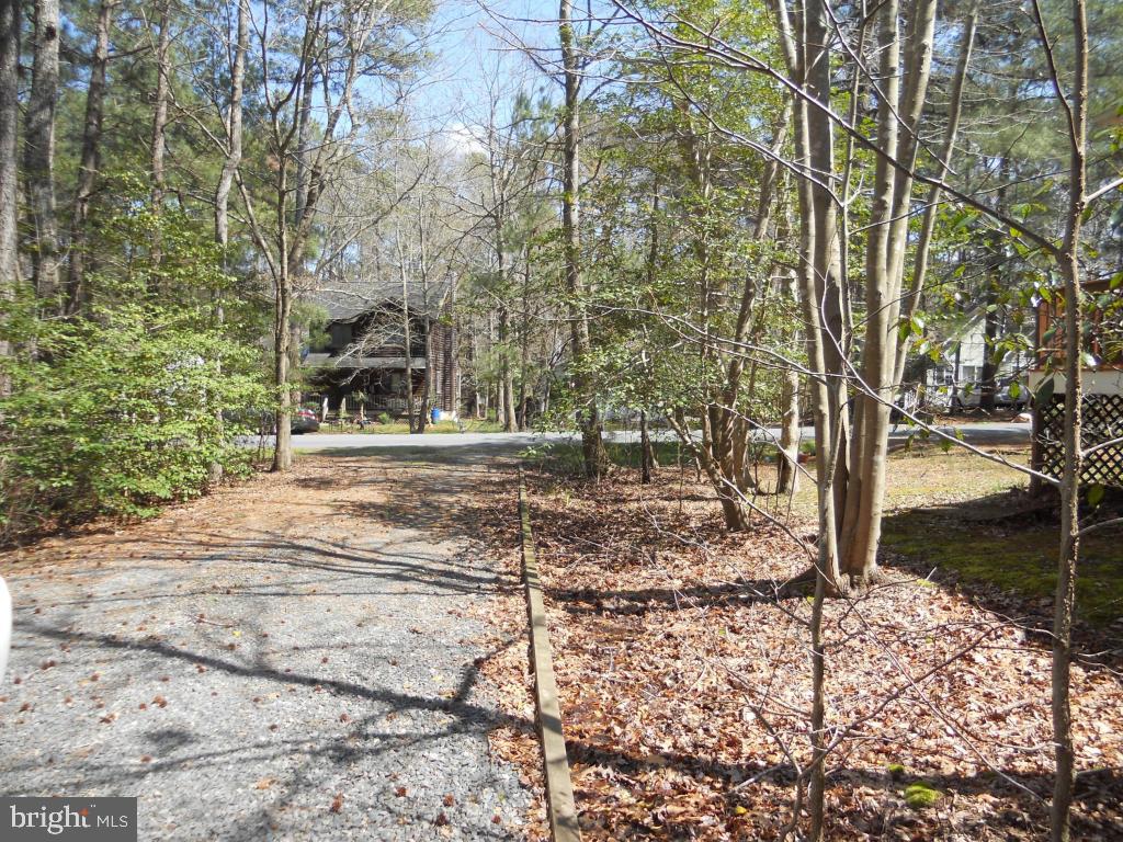 21 Rabbit Run Lane Ocean Pines, MD 21811 - Photo 22 of 22 a view of a street with a tree