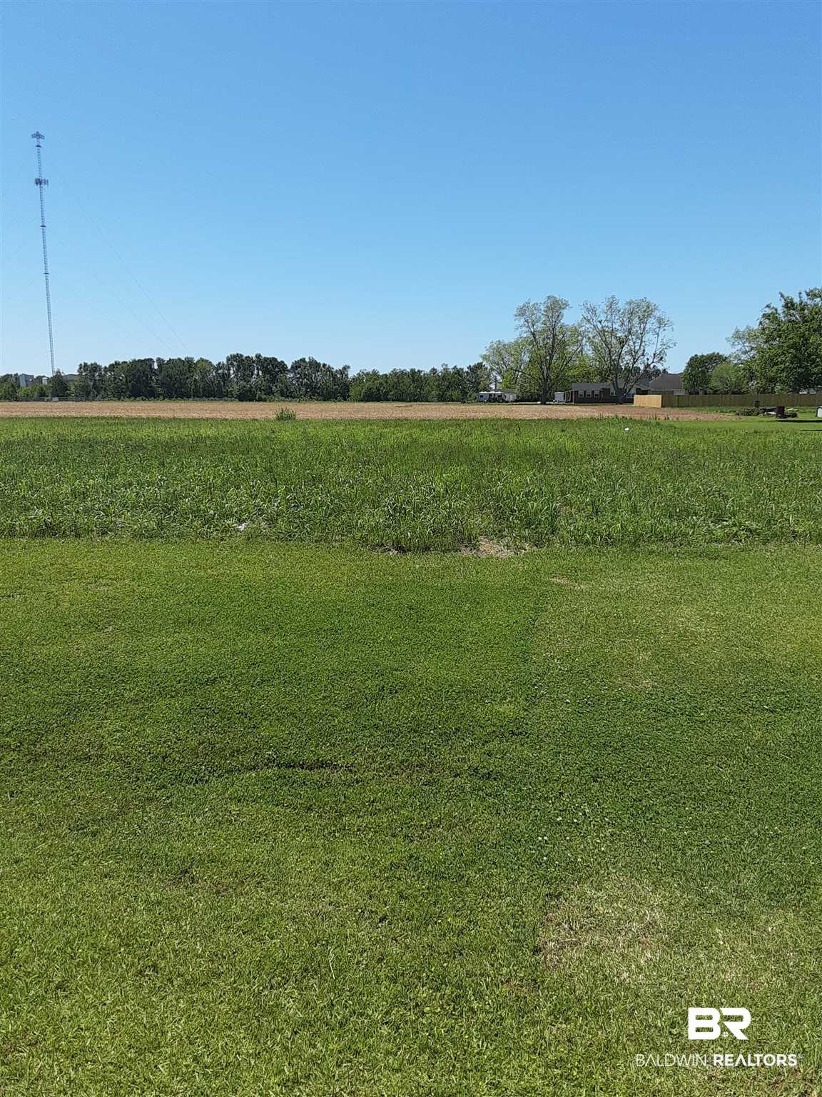 0 Black Devine Road Loxley, AL 36551 - Photo 7 of 26