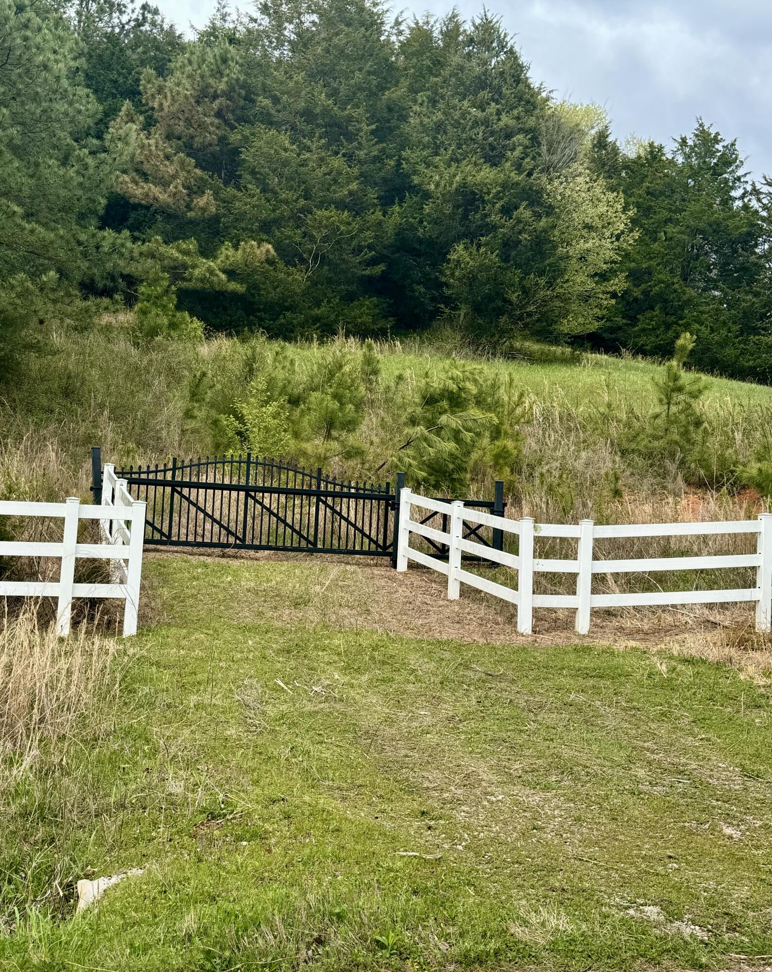 0 Cottonport Road, Unit LOT 03 Decatur, TN 37322 - Photo 3 of 11 IMG_4734