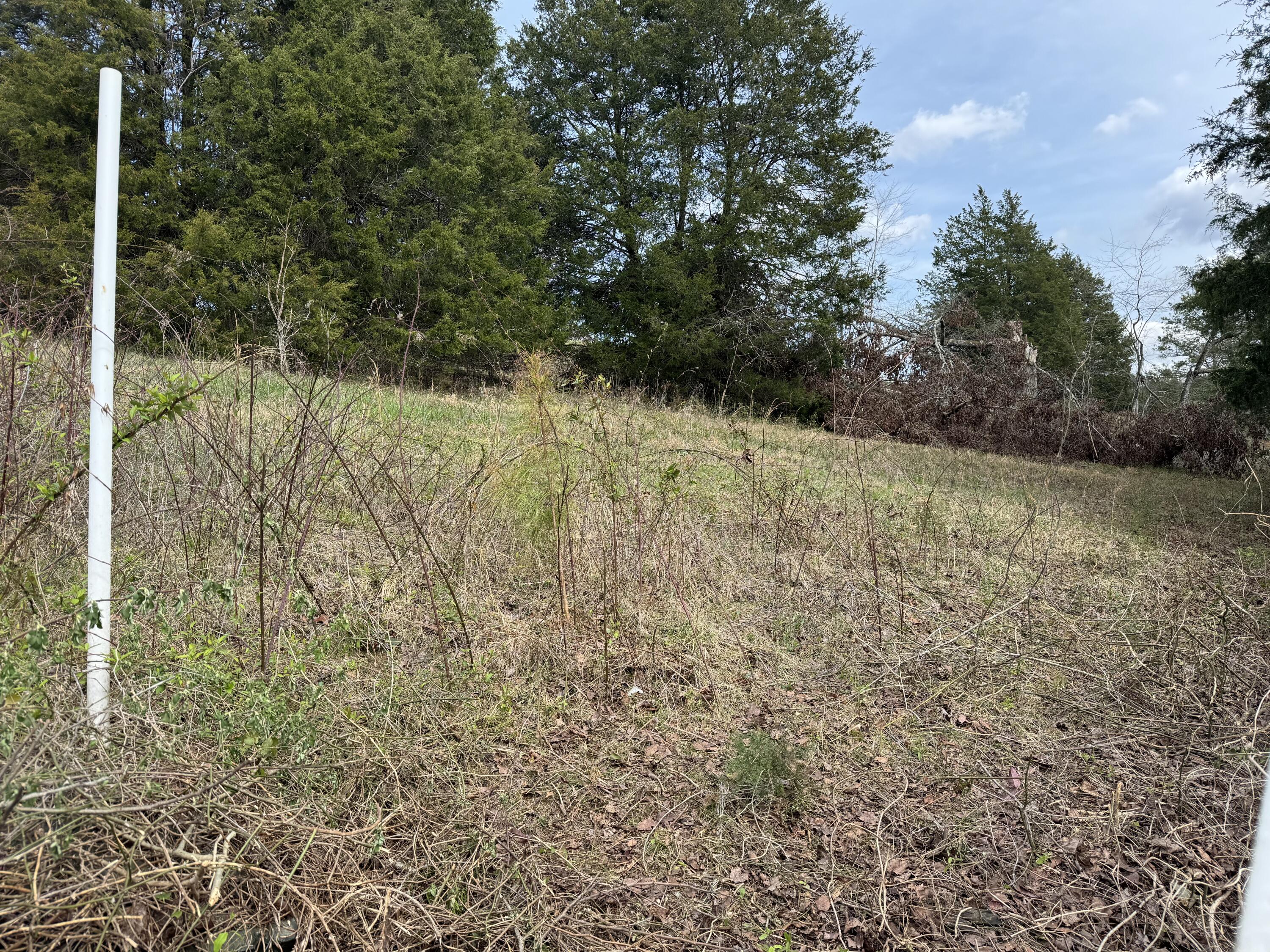 0 Cottonport Road, Unit LOT 03 Decatur, TN 37322 - Photo 7 of 11 IMG_4629