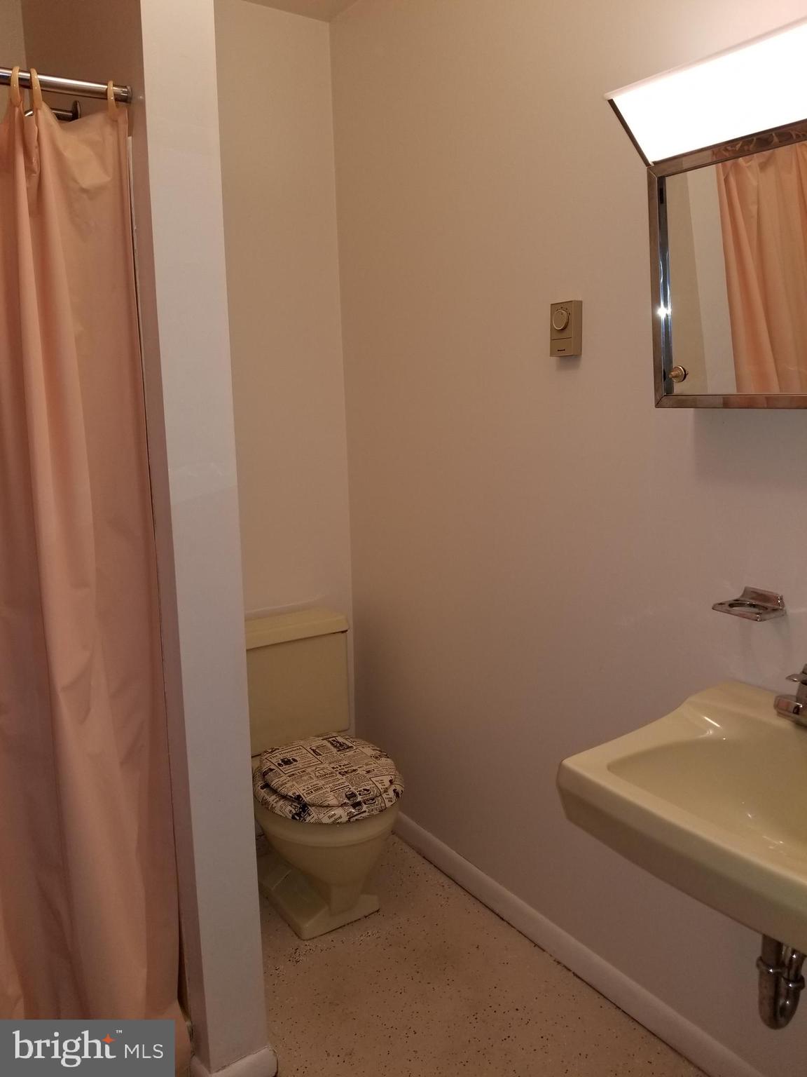 3216 Trinity Road Harrisburg, PA 17109 - Photo 4 of 26 Full Bath w/ stand up shower in the Lower Level
