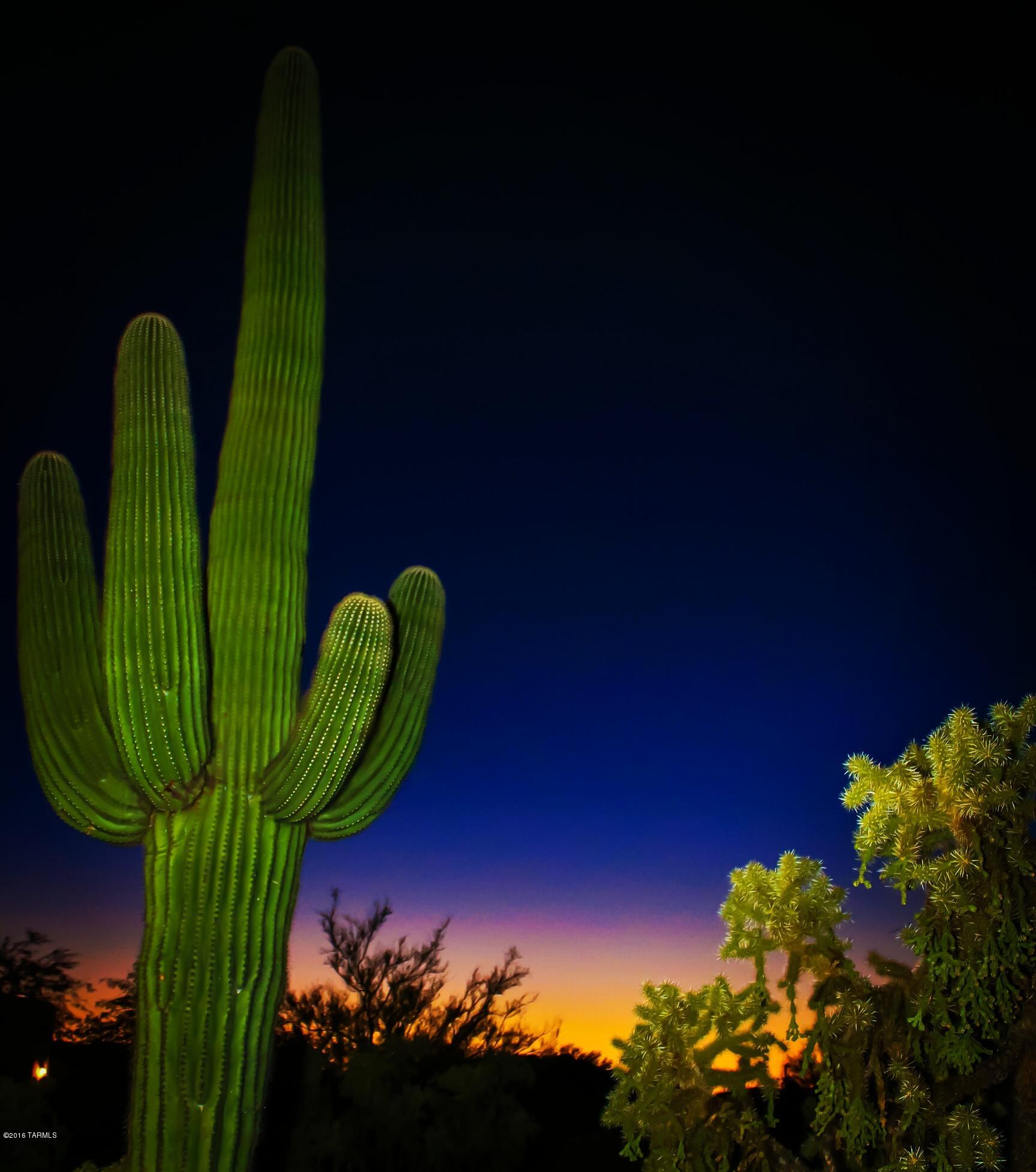 3253 West Ruthann Road Tucson, AZ 85745 - Photo 43 of 43 Gallery Image 43
