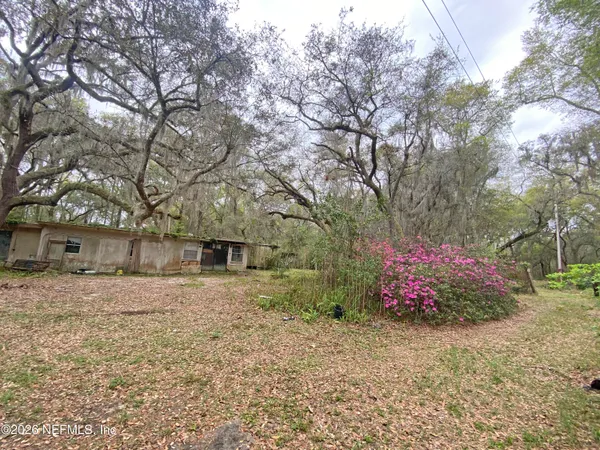 a view of a yard with a tree
