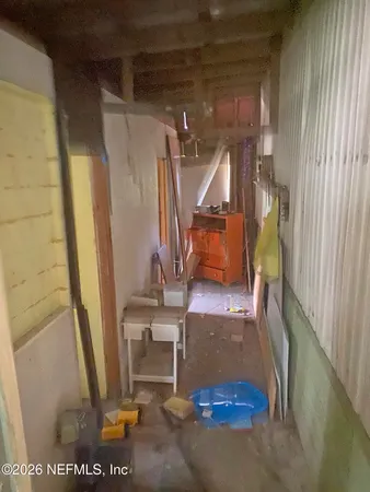 a view of a forest with trees in the background