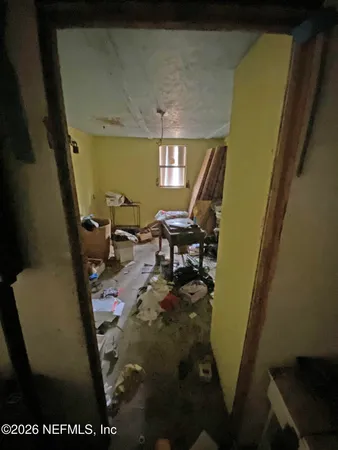 a view of a yard with plants and trees