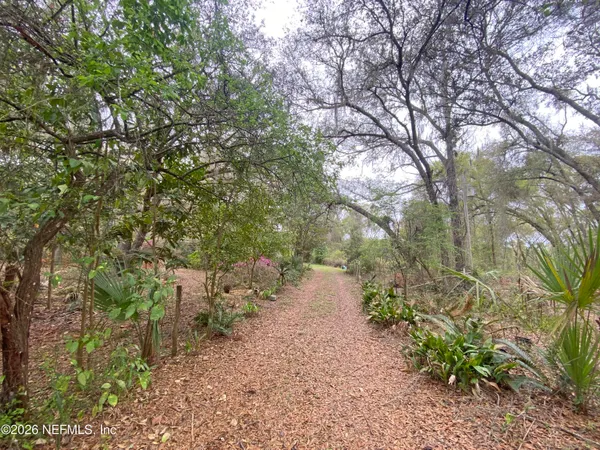 a view of a yard with plants and trees
