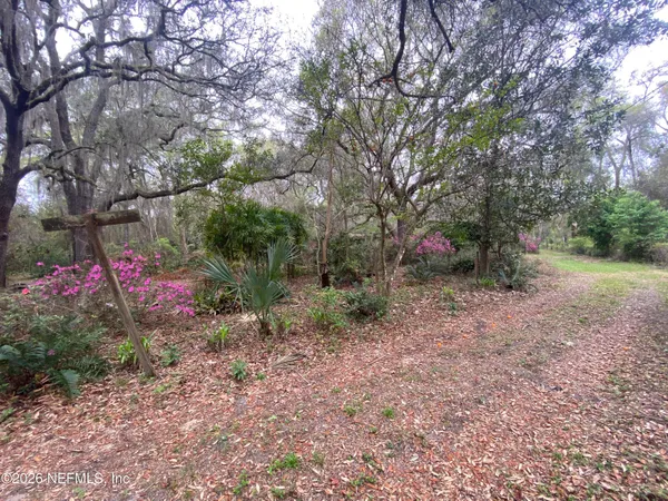 a flower garden view