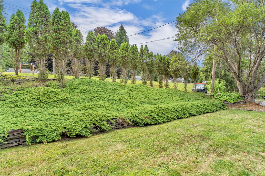3843 State Street Oneonta, NY 13820 - Photo 28 of 43 A carpet of green out your front windows.