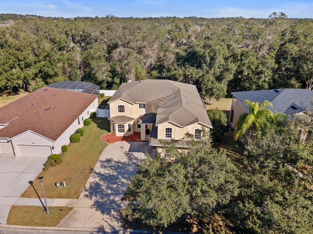 5042 Rishley Run Way Mount Dora, FL 32757 - Photo 3 of 44 an aerial view of a house with a garden