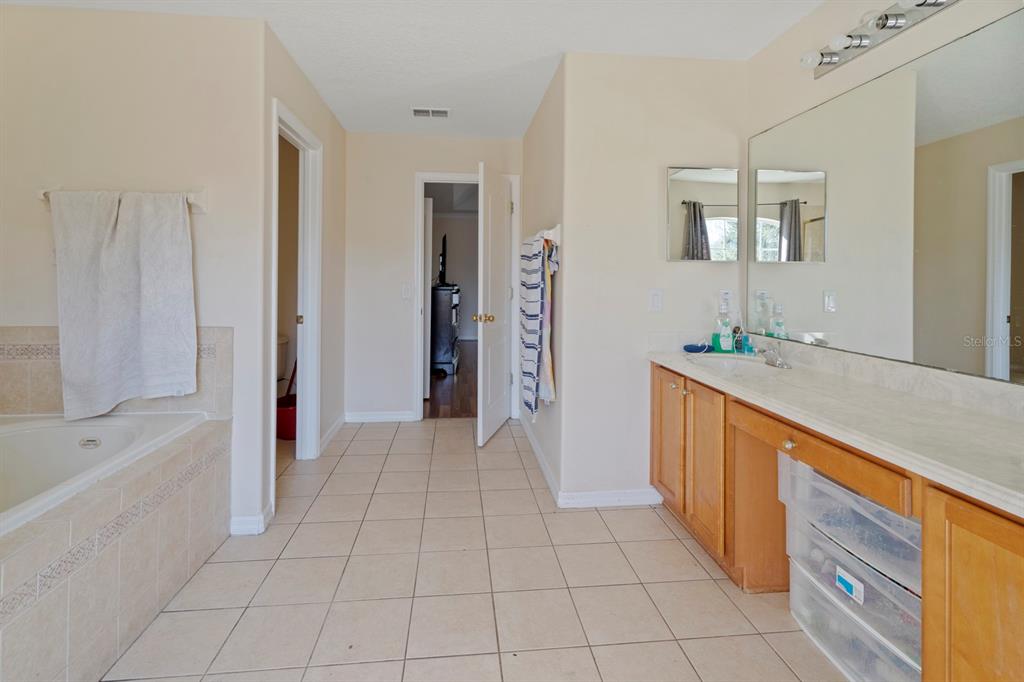 5042 Rishley Run Way Mount Dora, FL 32757 - Photo 31 of 44 a bathroom with a sink a mirror and a bathtub