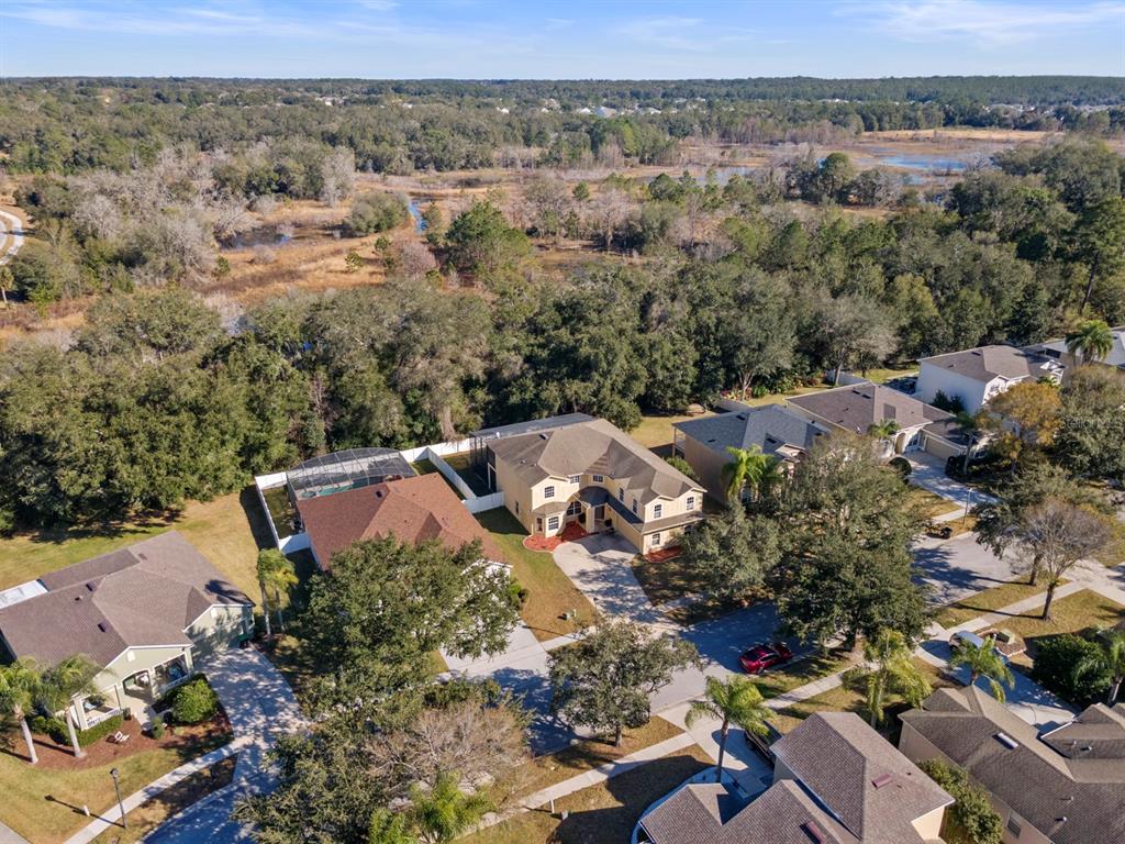 5042 Rishley Run Way Mount Dora, FL 32757 - Photo 43 of 44 an aerial view of multiple house