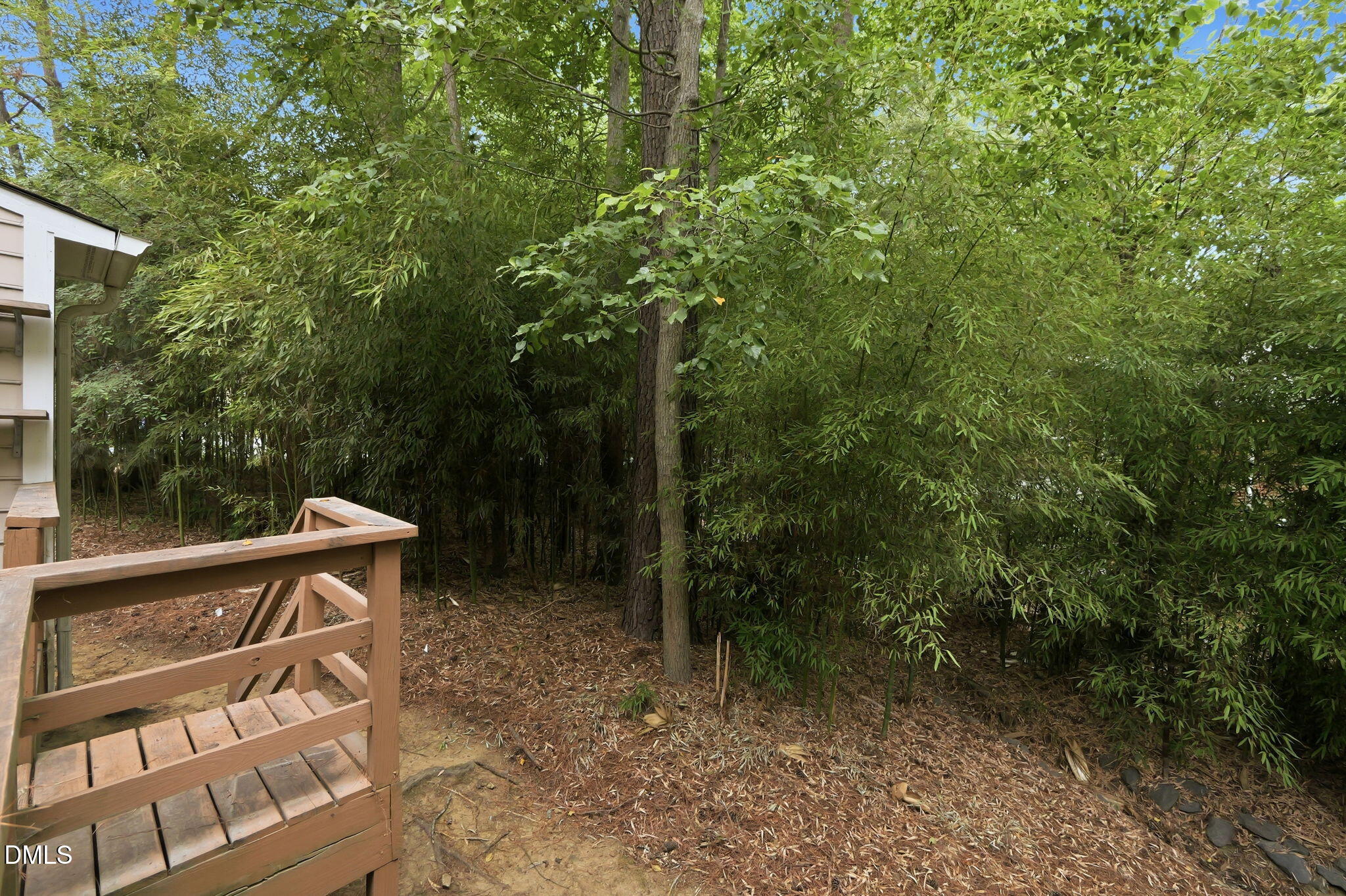101 Thomas Lane, Unit 1B Carrboro, NC 27510 - Photo 30 of 39