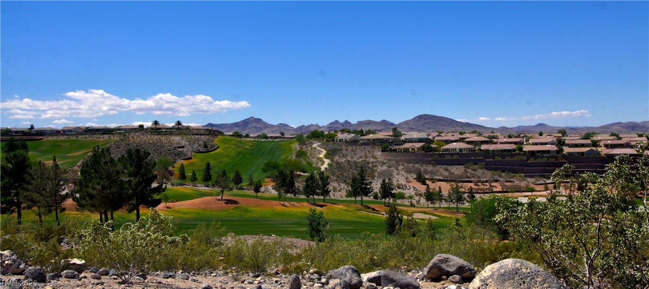 1502 Fieldbrook Street Henderson, NV 89052 - Photo 31 of 32