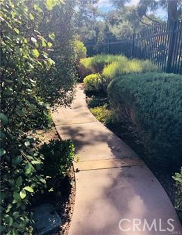 137 Tall Oak Irvine, CA 92603 - Photo 12 of 12 a view of a yard with plants