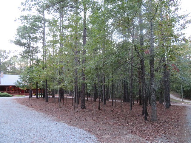 261 Mullins Road Hamilton, GA 31811 - Photo 42 of 45 Gallery Image 42