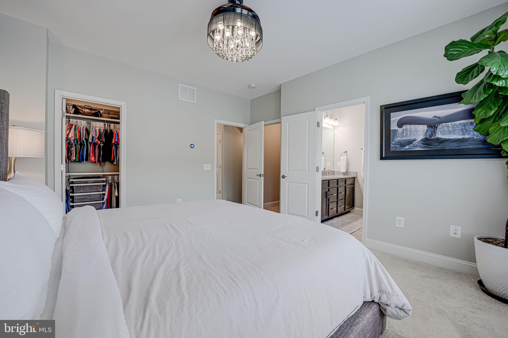 17372 Redshank Road Dumfries, VA 22026 - Photo 27 of 80 with two closets.