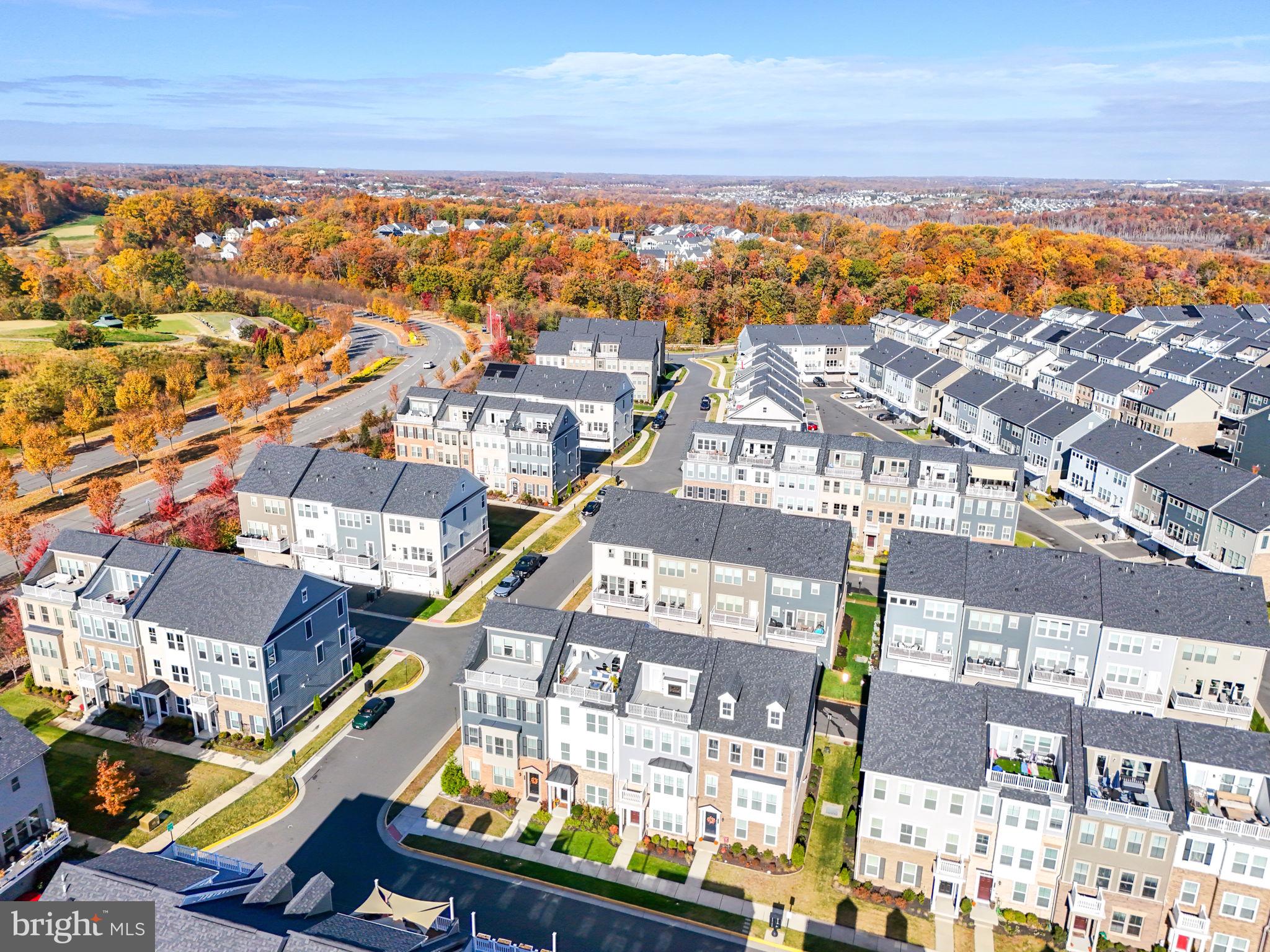 17372 Redshank Road Dumfries, VA 22026 - Photo 48 of 80 This home is in the future Town Center District