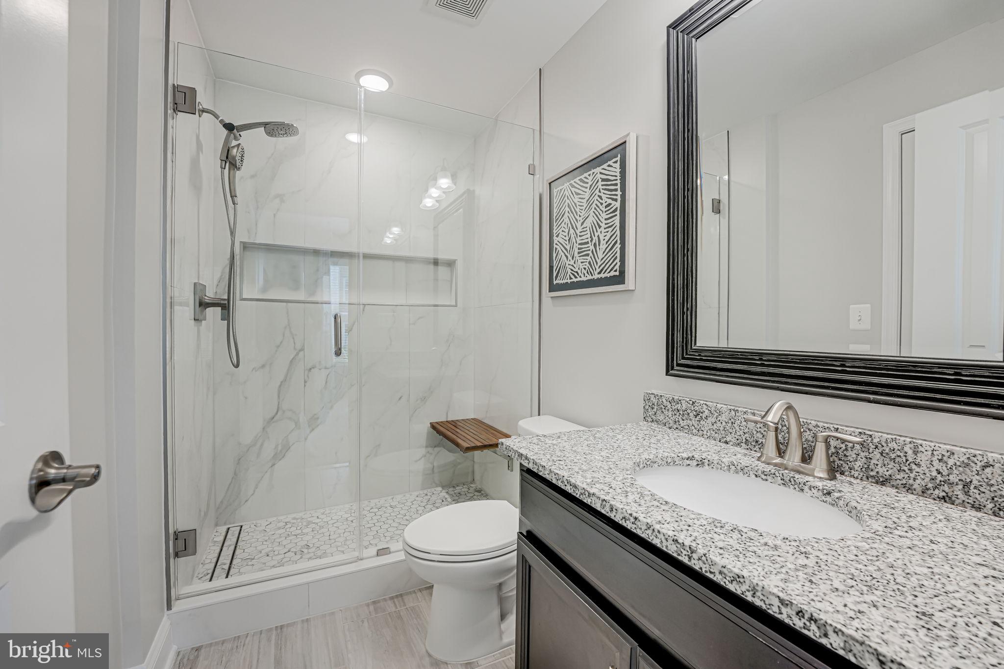 17372 Redshank Road Dumfries, VA 22026 - Photo 9 of 80 Updated bath with walk-in shower