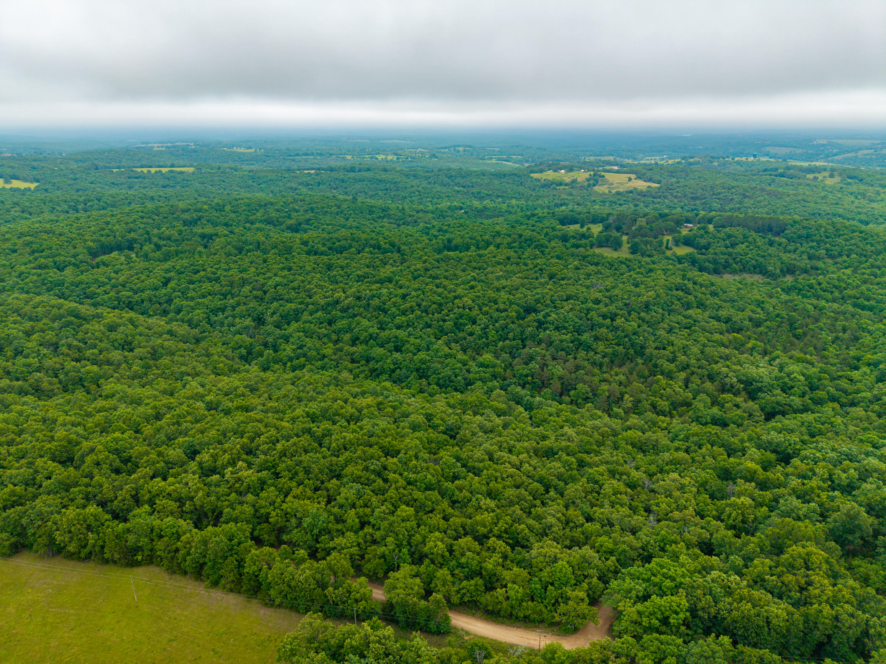 0 Co Road, Unit TRACT 1 Hardenville, MO 65666 - Photo 2 of 13 5 S 20 Hardenville-4