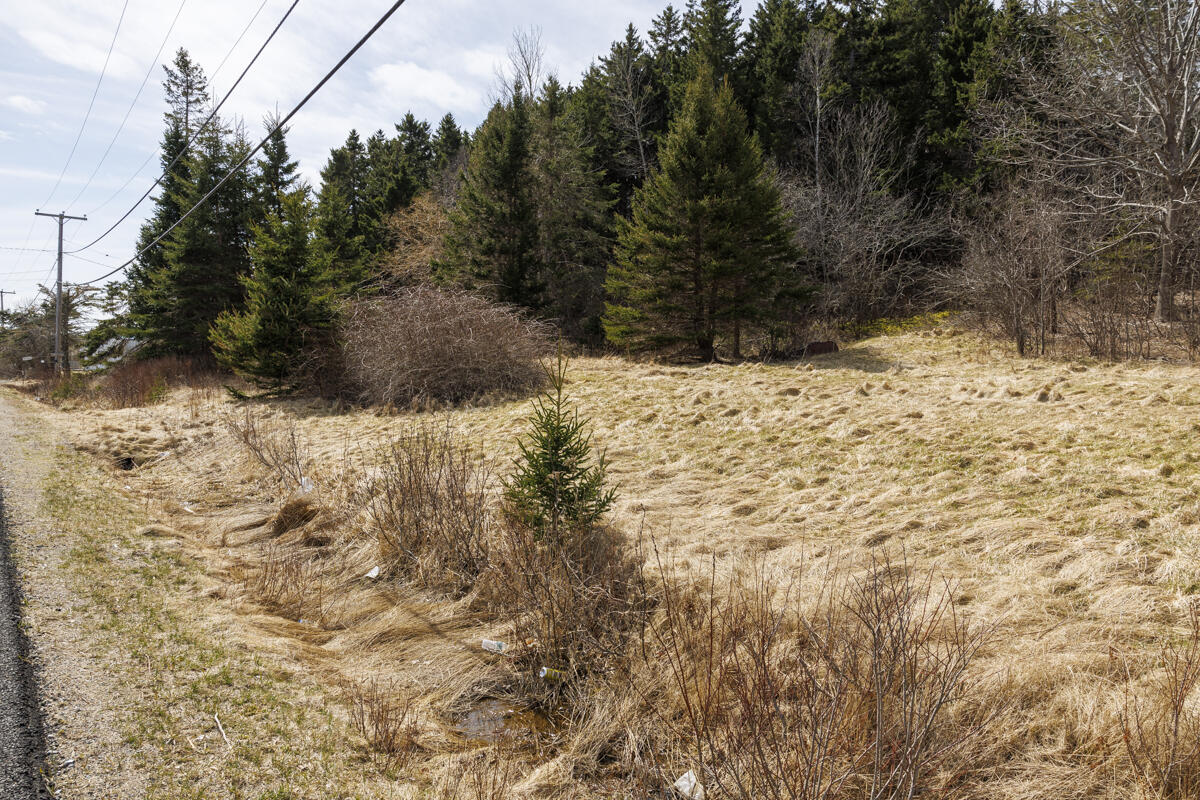 96 County Road Eastport, ME 04631 - Photo 3 of 21 21-96 County Road LoRes-DTP
