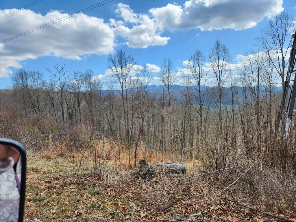 0 Camp Branch Road Topton, NC 28781 - Photo 7 of 41 Gallery Image 7