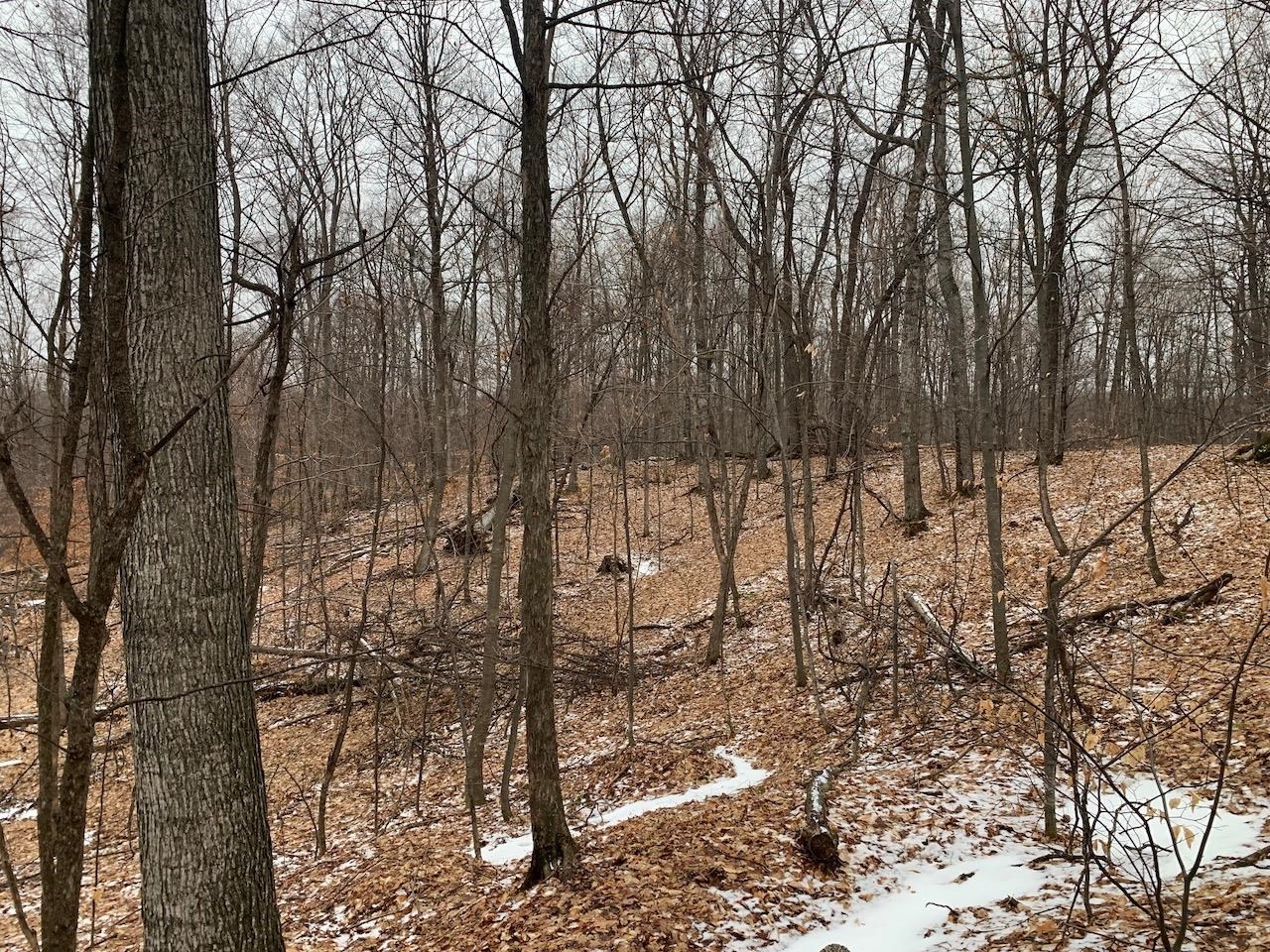 0 South Lime Lake Road, Unit LOT: B Cedar, MI 49621 - Photo 20 of 77 Gallery Image 20