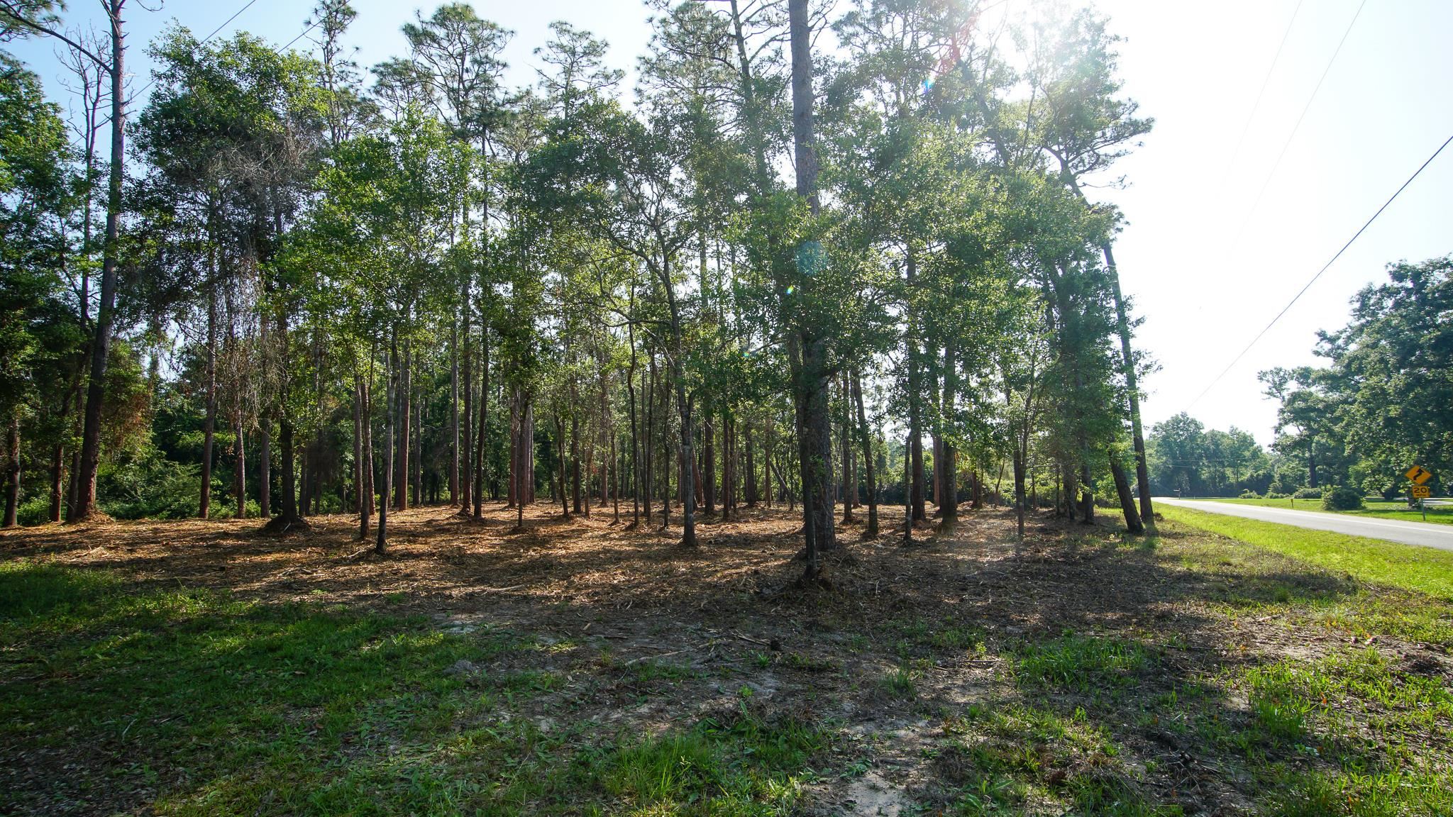 0 Antietam Road Lillian, AL 36549 - Photo 23 of 32