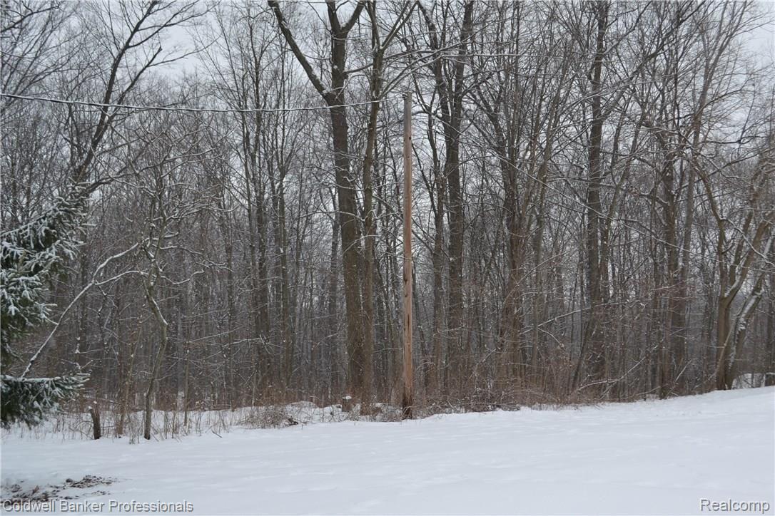 4530 Timber Lane Dryden, MI 48428 - Photo 34 of 36 024.JPG
