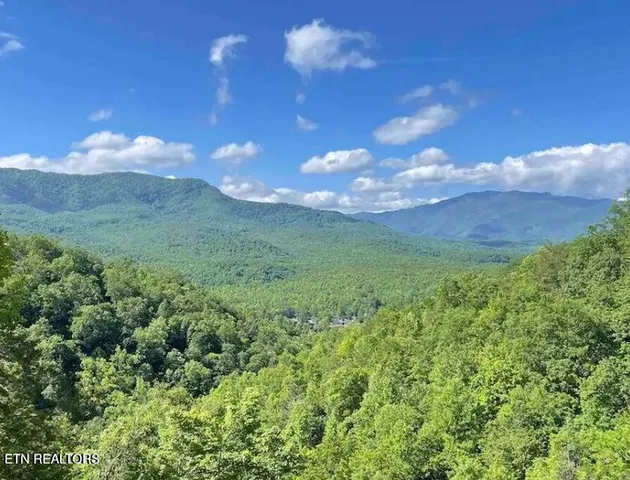 $1,394,000 | 842 Vixen Run, Gatlinburg, TN 37738