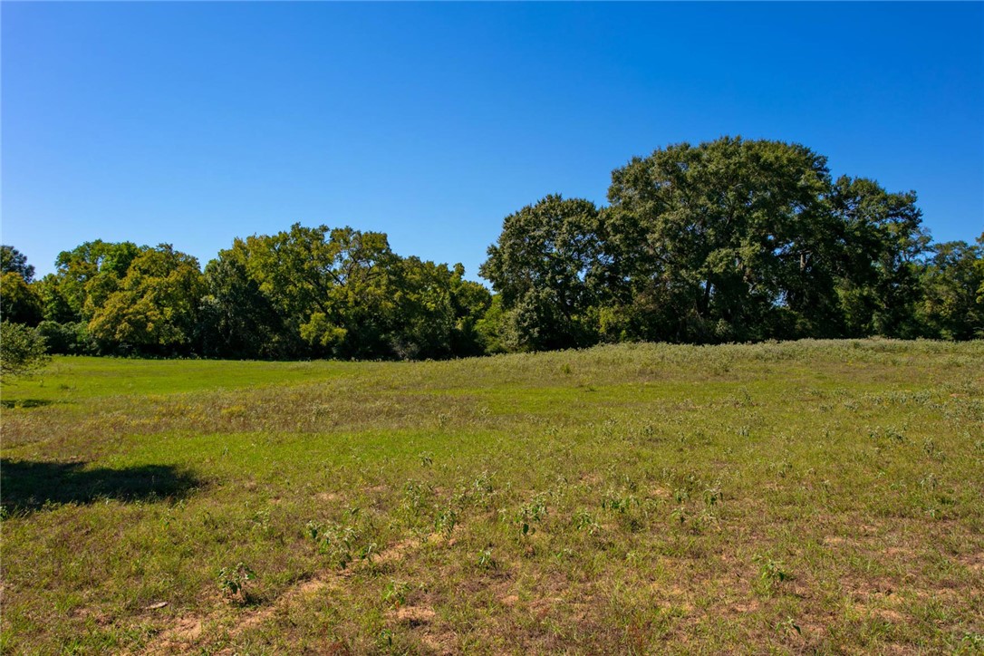 11041 Jackrabbit Lane Bryan, TX 77808 - Photo 19 of 47 a view of yard with swimming pool and green space