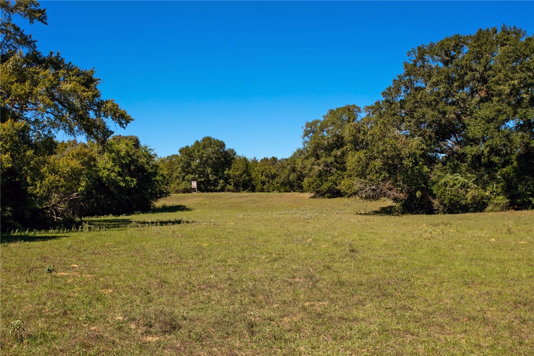 11041 Jackrabbit Lane Bryan, TX 77808 - Photo 21 of 47 a view of an outdoor space and swimming pool