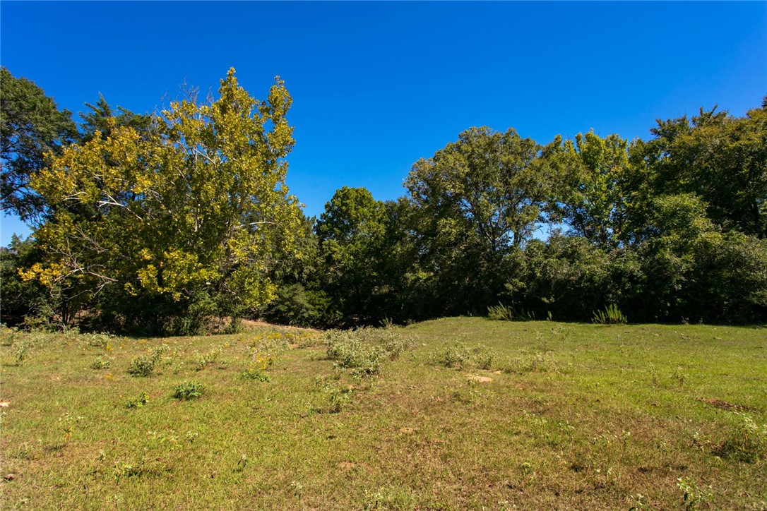 11041 Jackrabbit Lane Bryan, TX 77808 - Photo 24 of 47 a view of a large tree with a yard