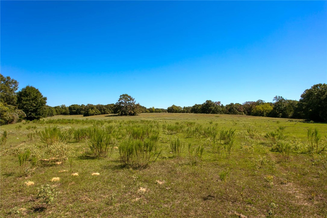 11041 Jackrabbit Lane Bryan, TX 77808 - Photo 26 of 47 a view of a lake view